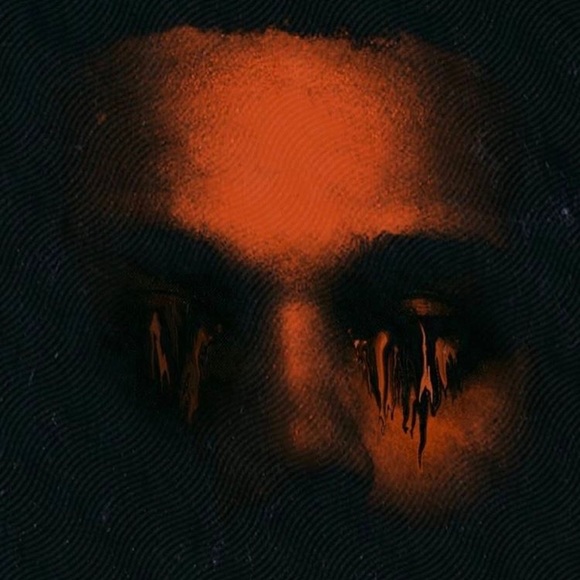 Meet your Posher, Kian - Picture 1 of 1